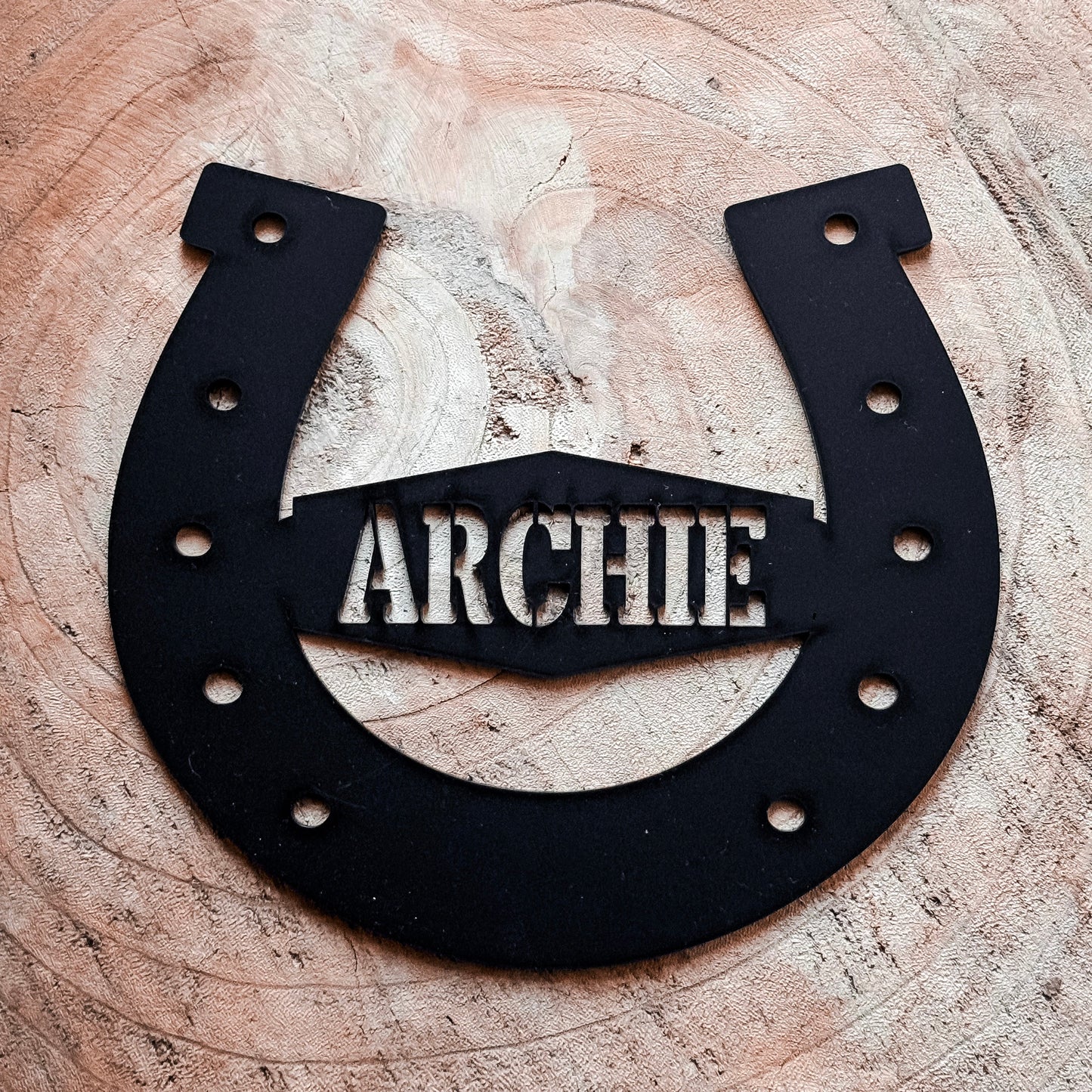 Custom Gate Name Plaque - Horse Shoe