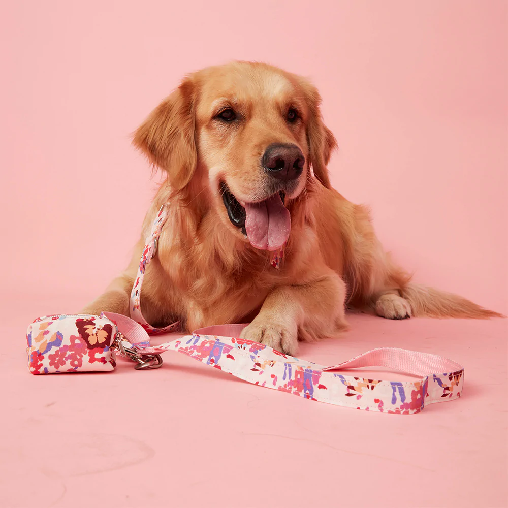 Dog Leash | Bold Floral