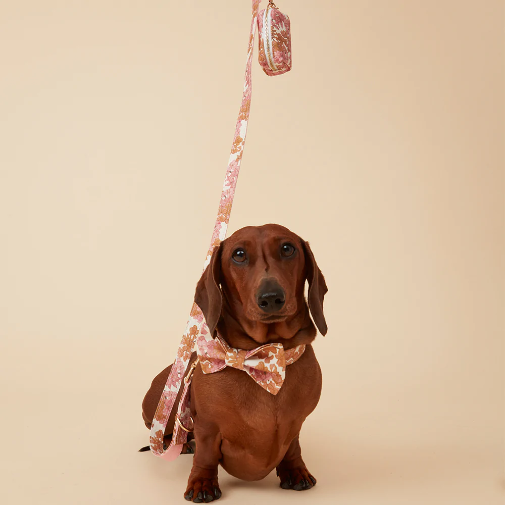 Dog waste Bag | Pink Floral