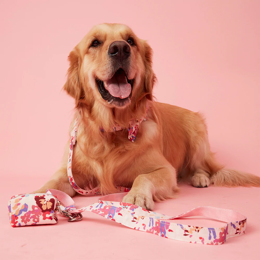 Dog waste Bag | Bold Floral