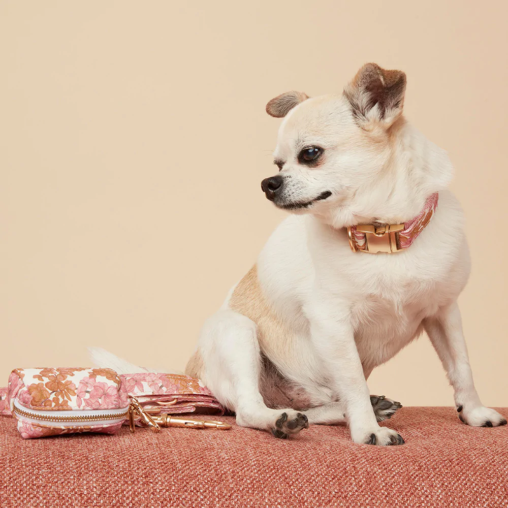 Dog Collar | Pink Floral