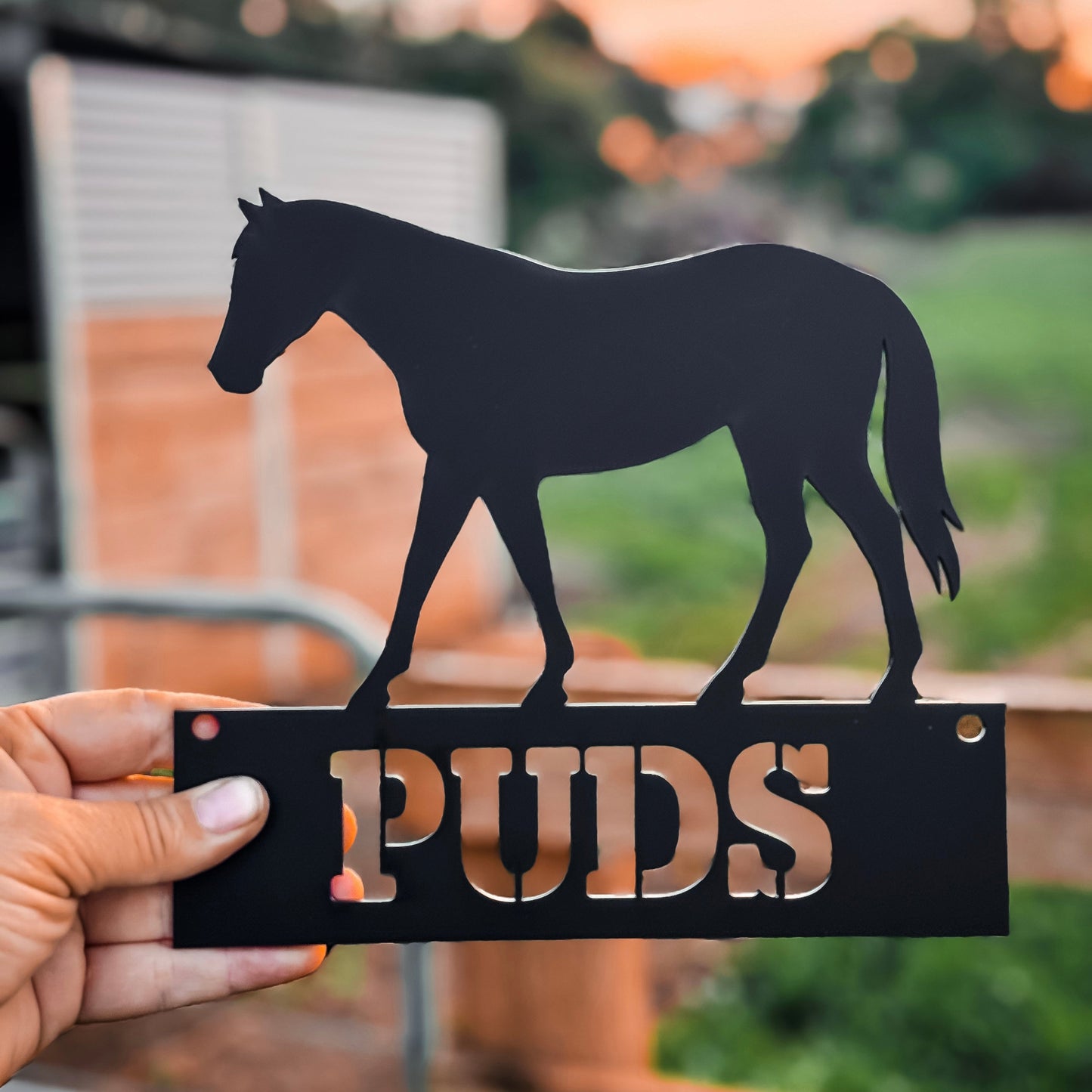 Custom Gate Name Plaque - Horse