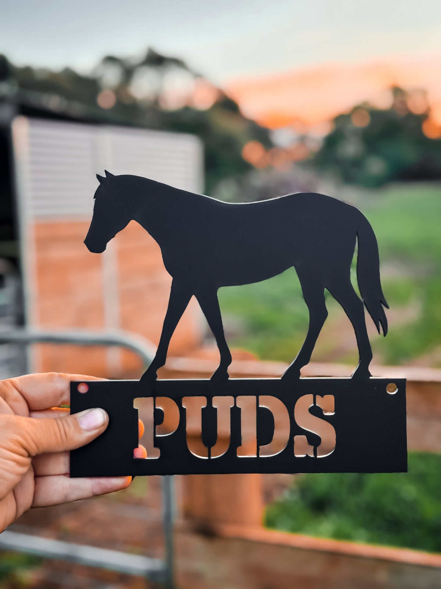 Custom Gate Name Plaque - Horse