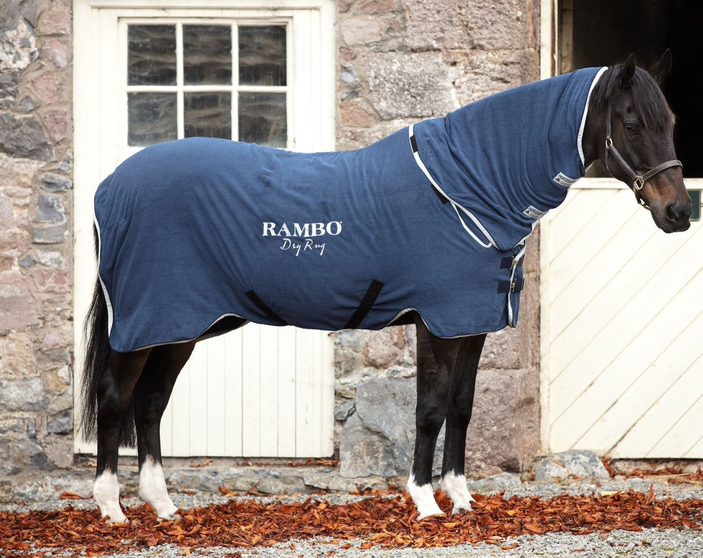 Rambo Dry Rug | Navy W/ Silver