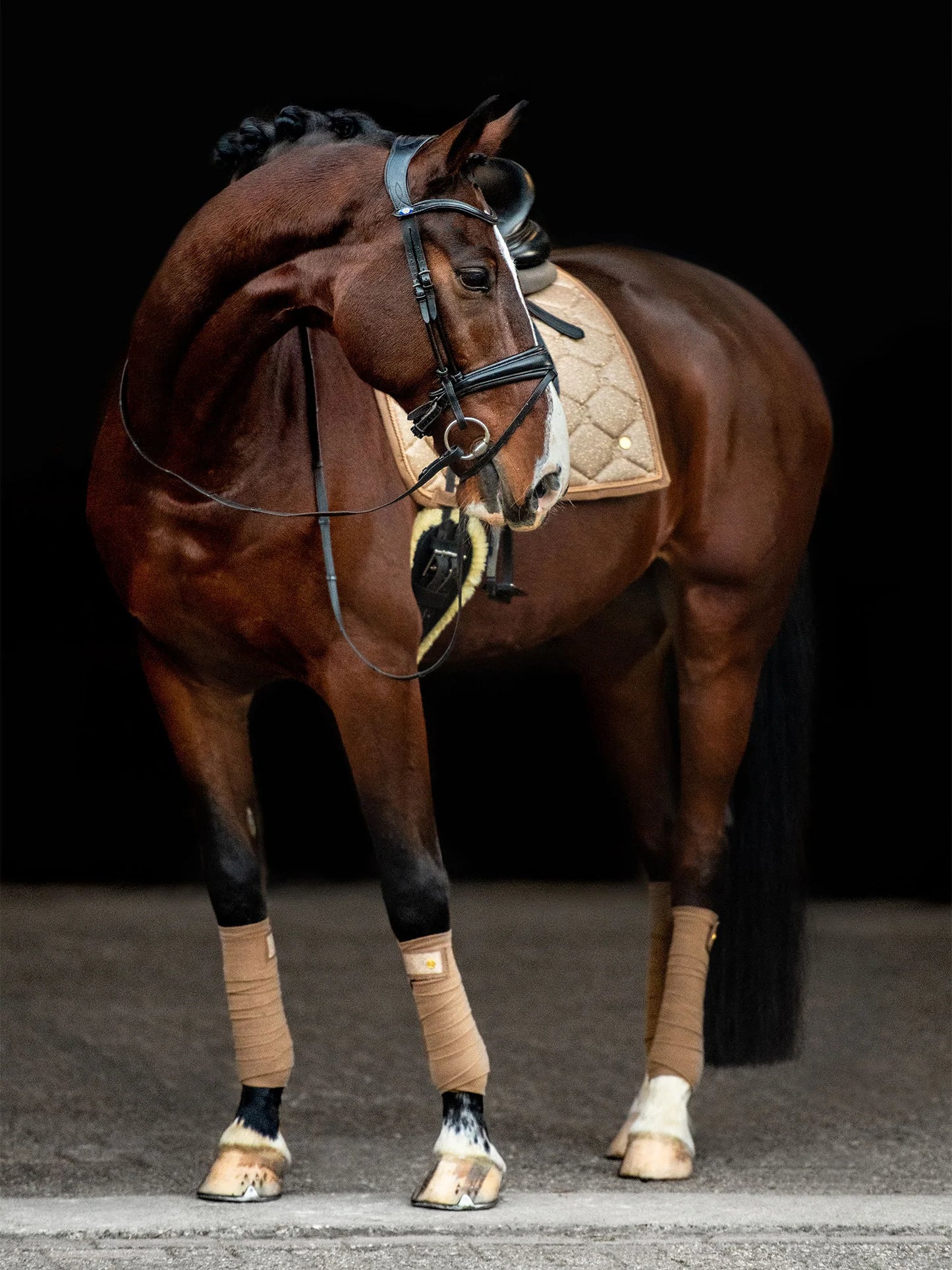 PSOS Polos, Stardust, Gold