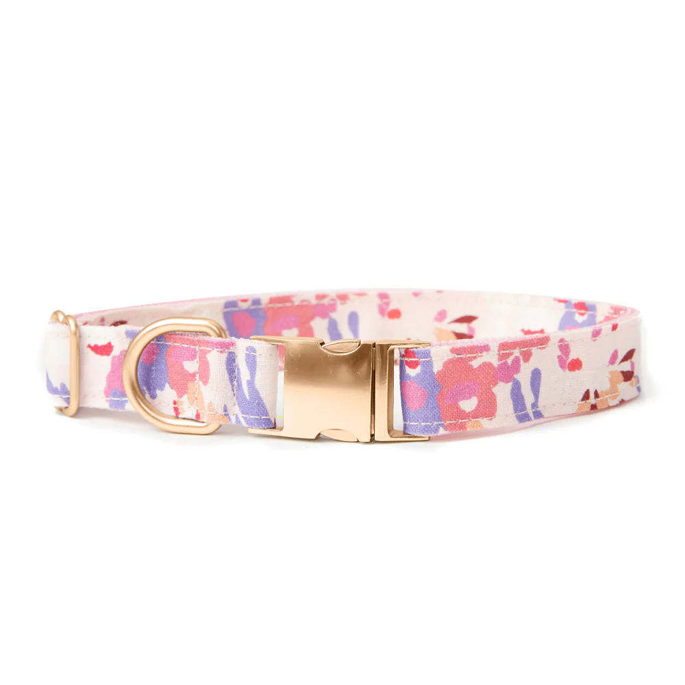 Dog Collar | Bold Floral