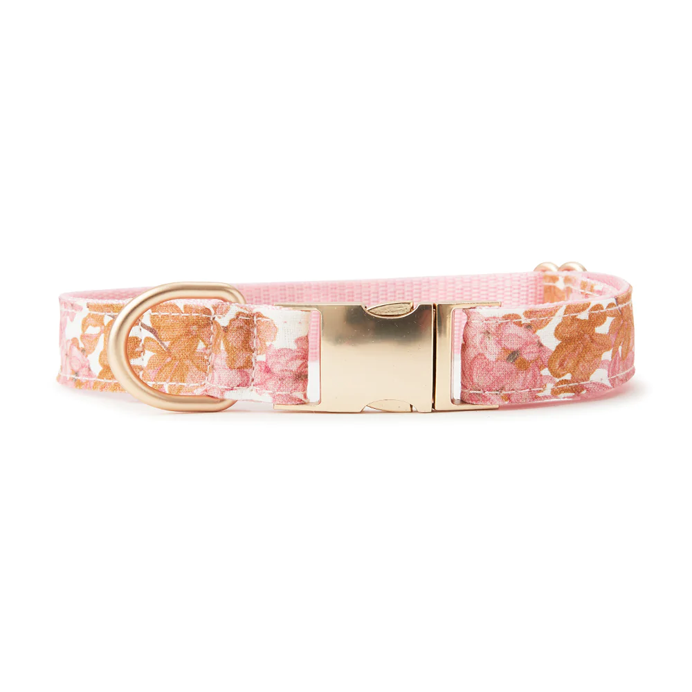 Dog Collar | Pink Floral