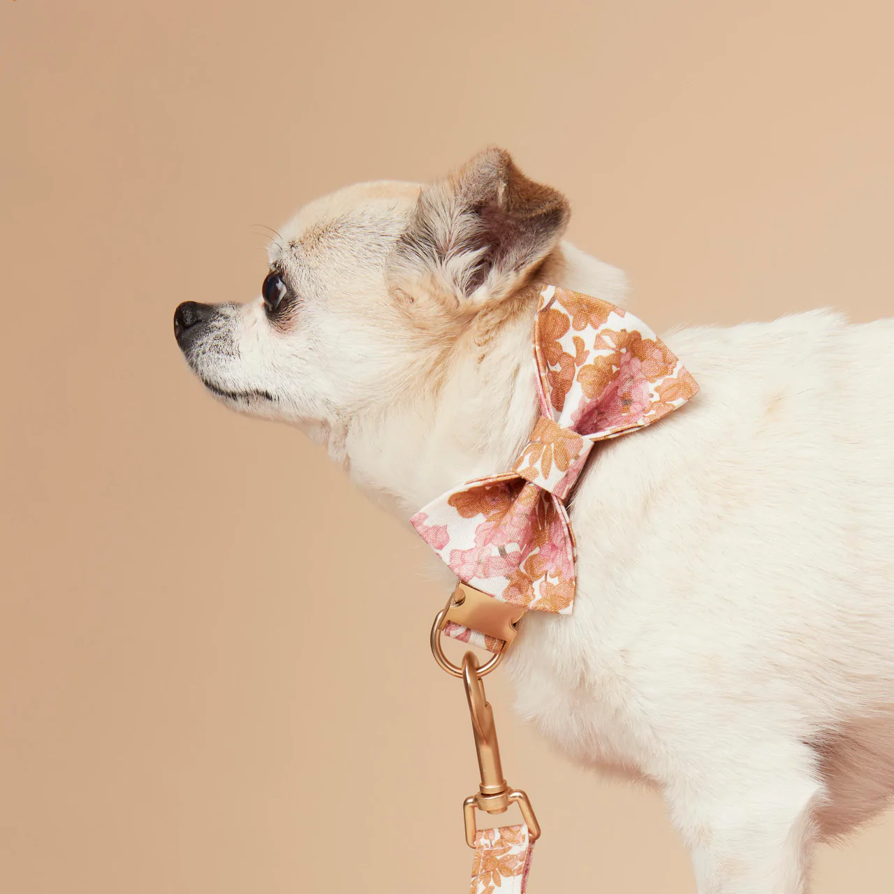 Dog Leash | Pink Floral