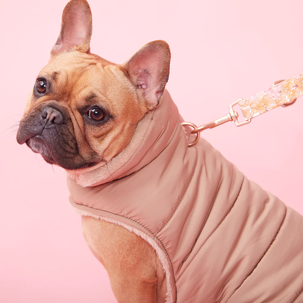 Puffer Jacket | Camel