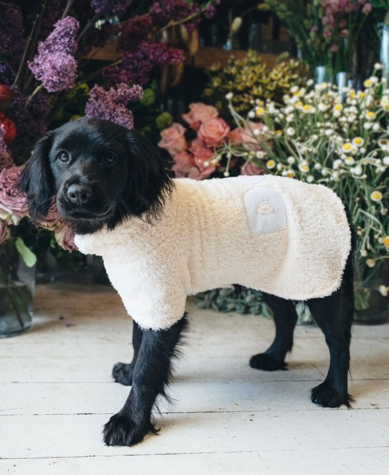 Poncho/Towel | Blush