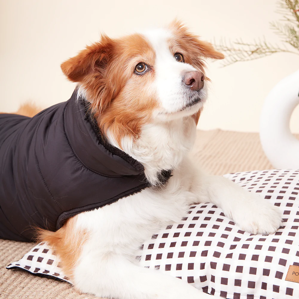 Puffer Jacket | Black